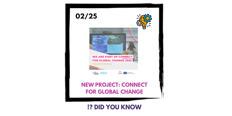PROJECTS FORMAT 2