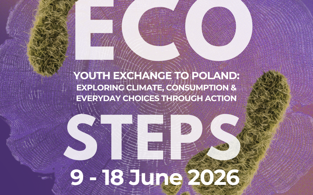 What does a Dutch team look like? #ECOSTEPS